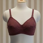Women's Everyday Wear Full Chikan Cotton Bra (Pack of 4)